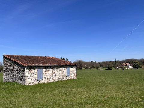 photo no. 4