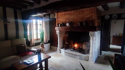 photo no. 5