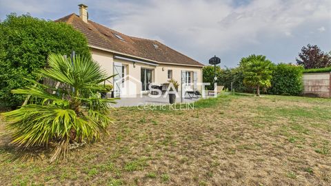 photo no. 11