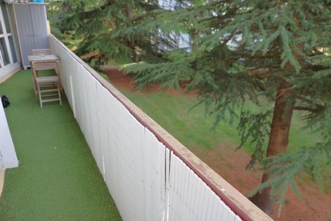 photo no. 8