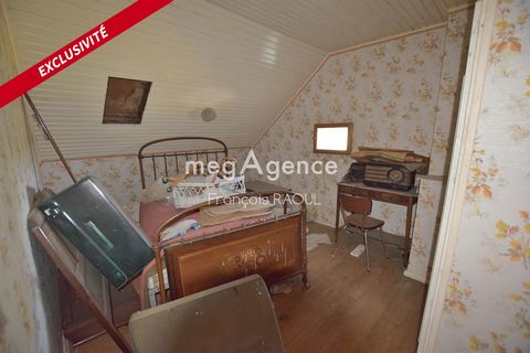 photo no. 10