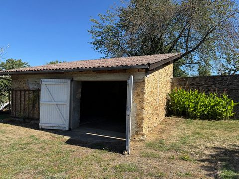 photo no. 10