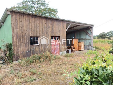 photo no. 10