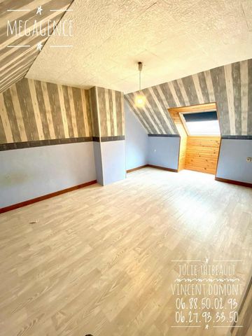 photo no. 12