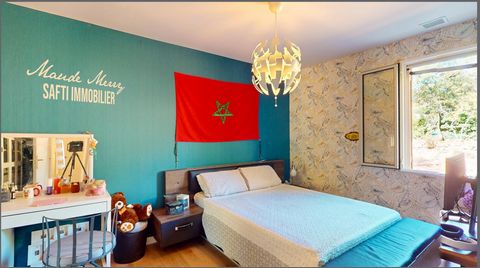 photo no. 7