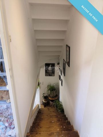 photo no. 7