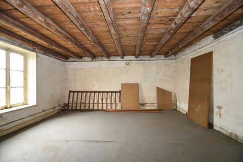 photo no. 12