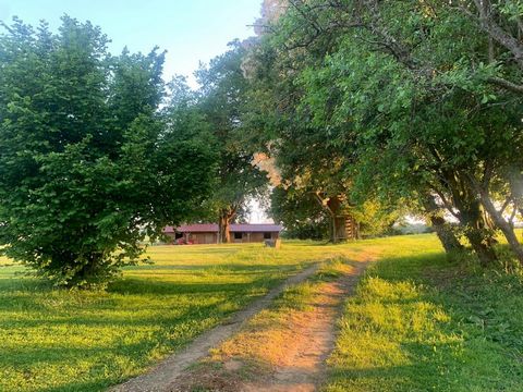 photo no. 8