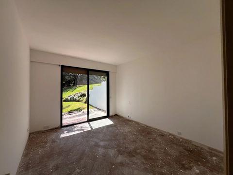 photo no. 14