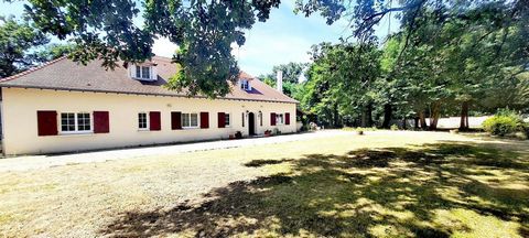 photo no. 11