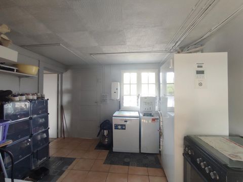 photo no. 12
