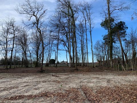 Terrain à bâtir libre de constructeur 836 m2