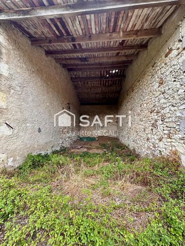 photo no. 2