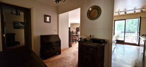 photo no. 12