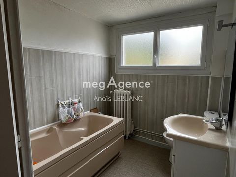 photo no. 11