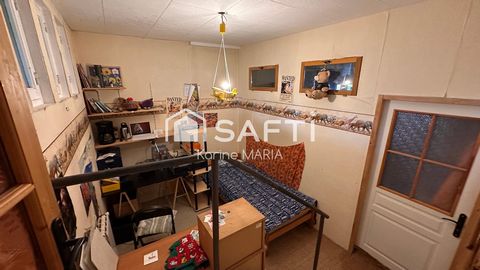 photo no. 11