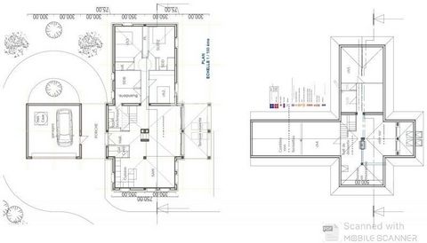 photo no. 12