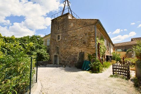 photo no. 3