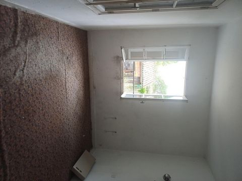 photo no. 8