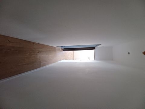 photo no. 6