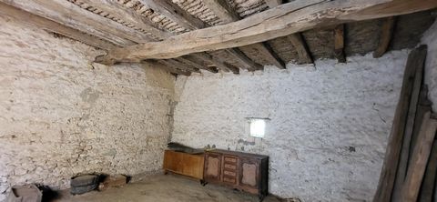 photo no. 2