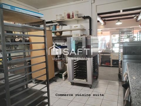 photo no. 14