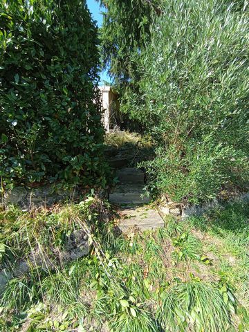 photo no. 9