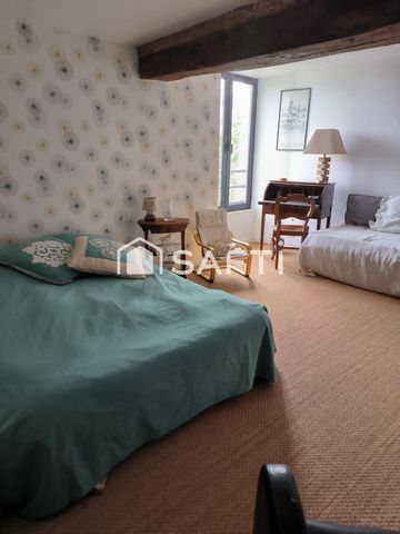photo no. 11
