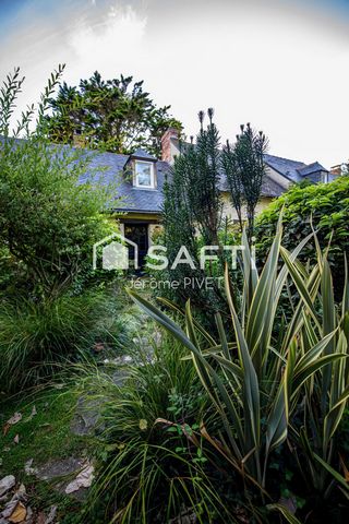 photo no. 11