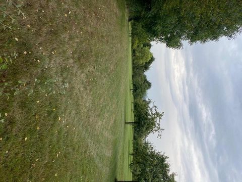 photo no. 11