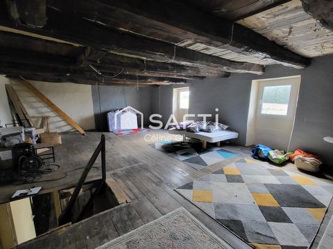 photo no. 10