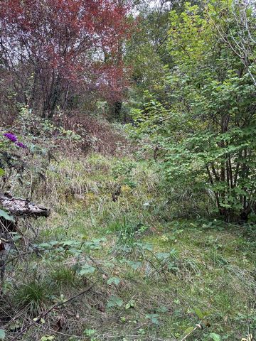 photo no. 11