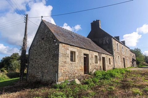 photo no. 1