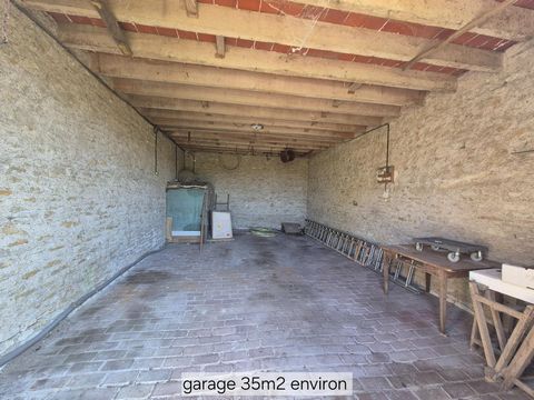 photo no. 6