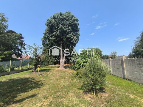 photo no. 11