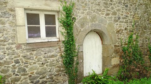 photo no. 11