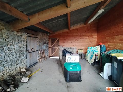 photo no. 12