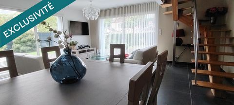 photo no. 11