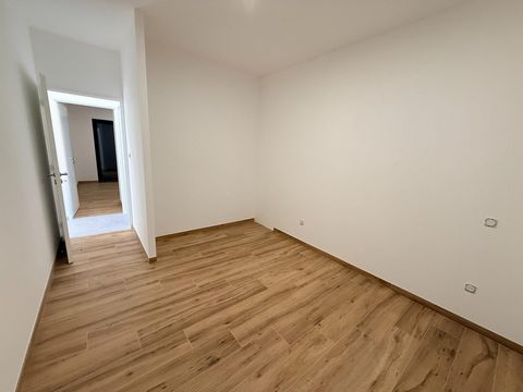 photo no. 6