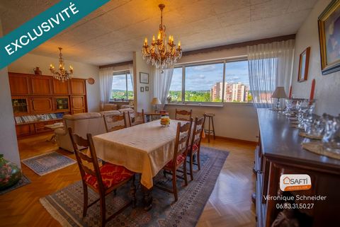 bel appartement lumineux centre ville sarreguemines