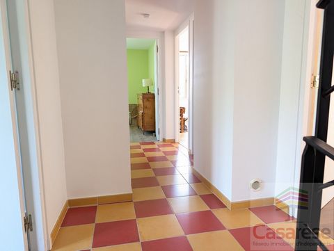 photo no. 11