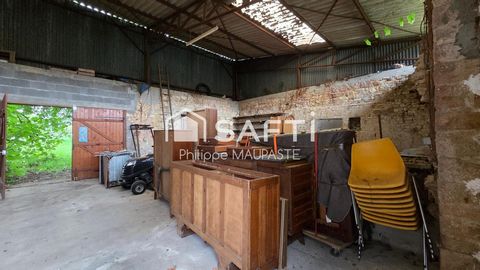 photo no. 13