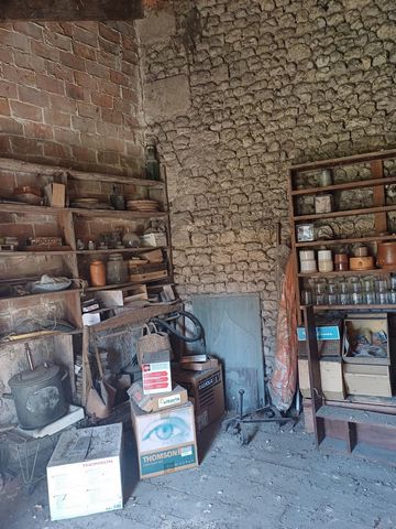 photo no. 11
