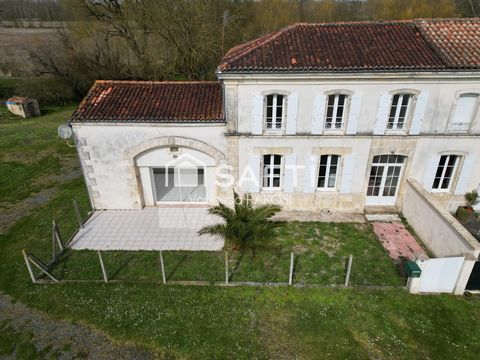 photo no. 12