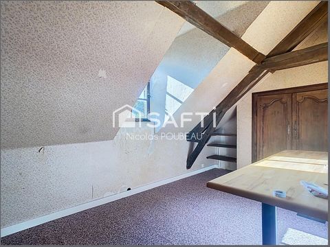 photo no. 10