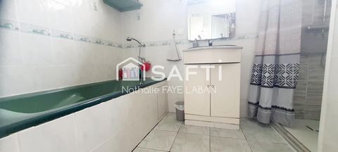 photo no. 11