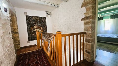 photo no. 24