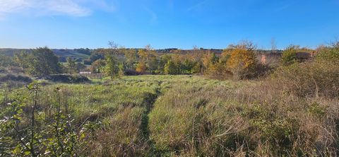 Terrain à bâtir - borné - viabilisé