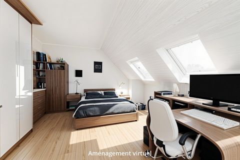photo no. 7