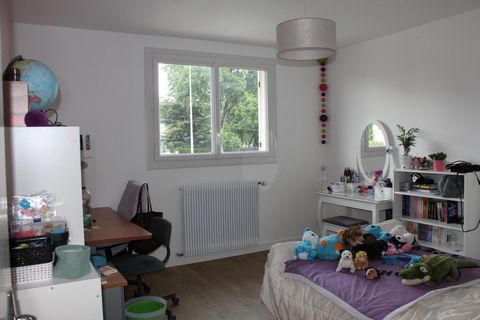 photo no. 8